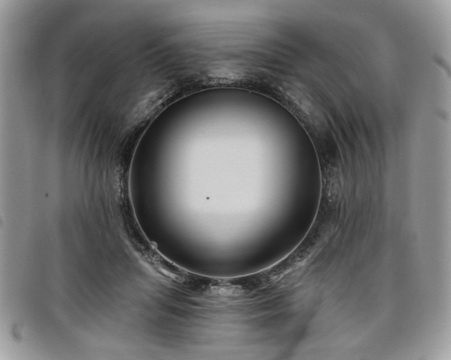 X0000098030455200803281412