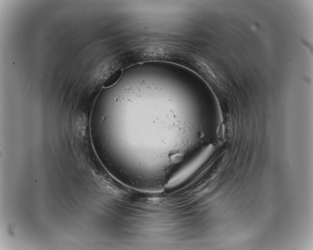 X0000098030458200803281413