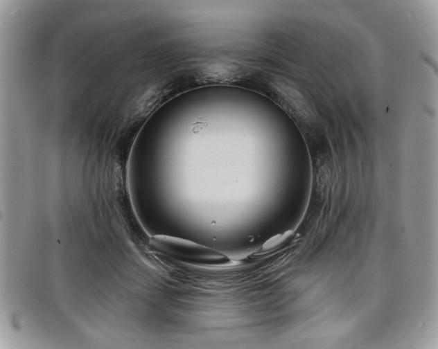 X0000098030459200803281413