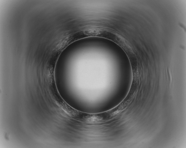 X0000098030460200803281413