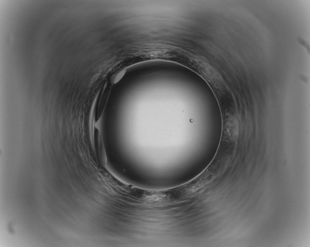 X0000098030461200803281413