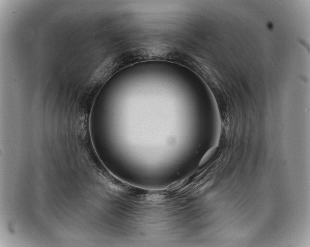 X0000098030462200803281413