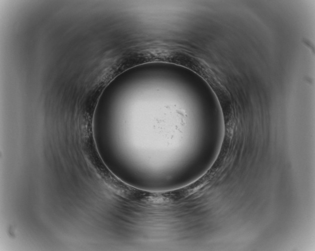 X0000098030464200803281413