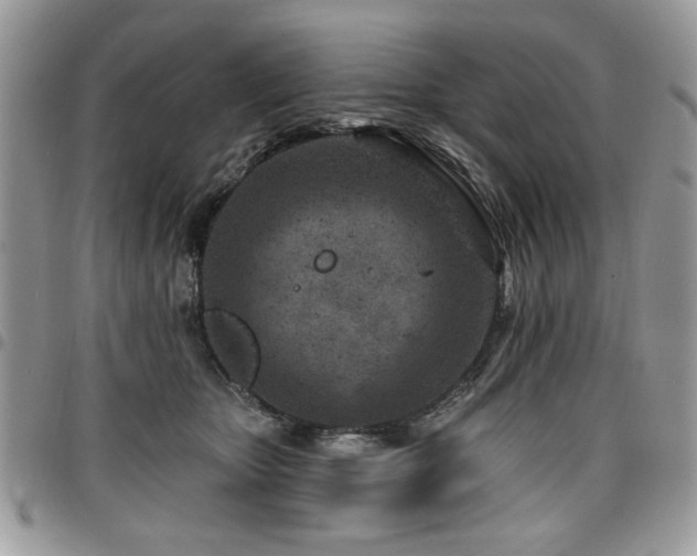 X0000098030467200803281413