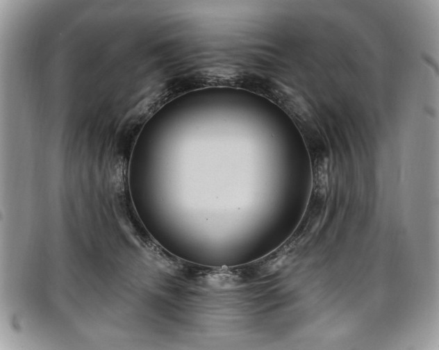 X0000098030468200803281413