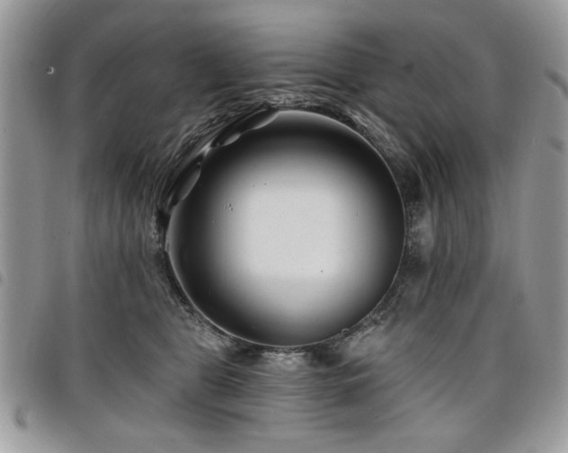 X0000098030469200803281413