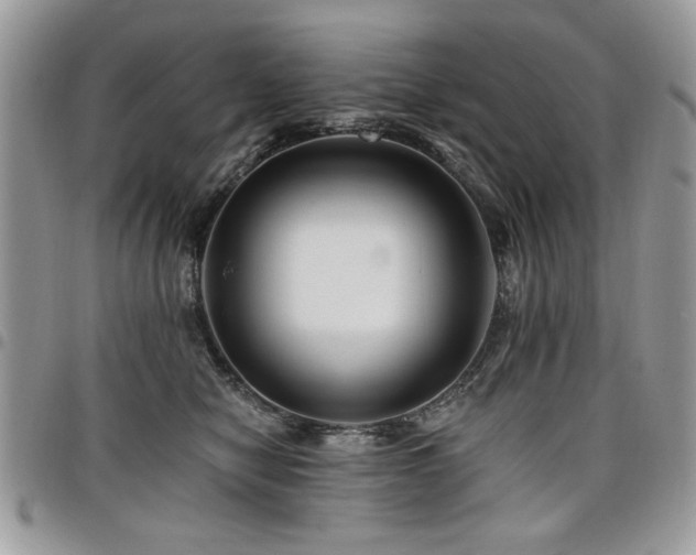 X0000098030470200803281413