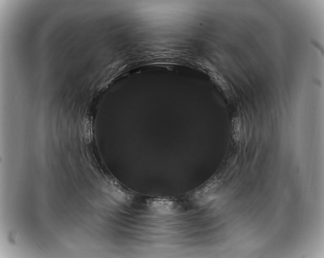 X0000098030471200803281413