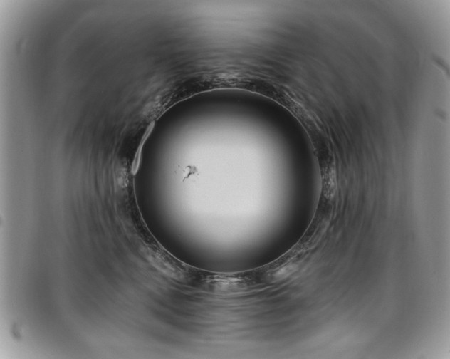 X0000098030472200803281413