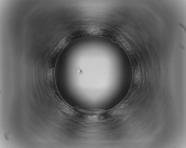 X0000098030473200803281413