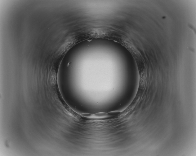 X0000098030474200803281413