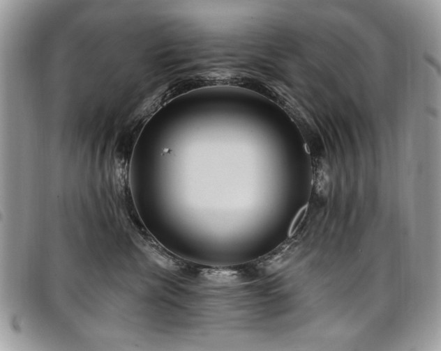 X0000098030476200803281413