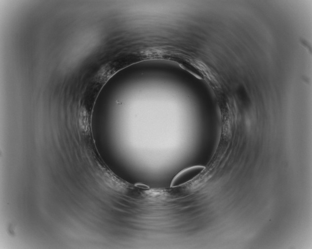 X0000098030477200803281413