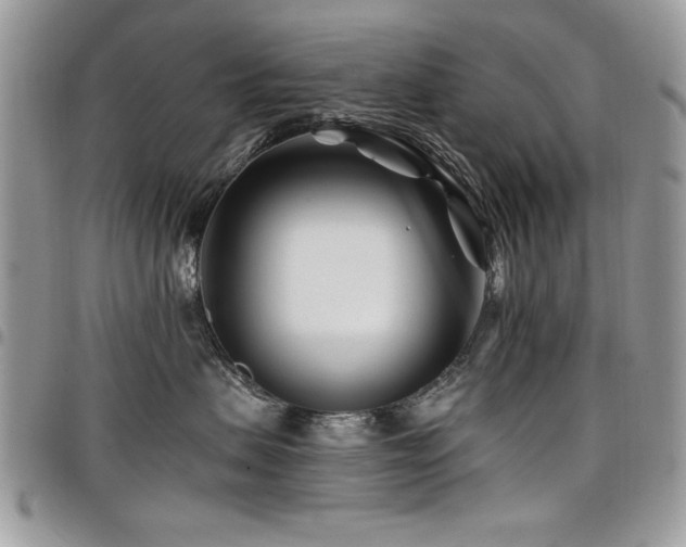 X0000098030479200803281413