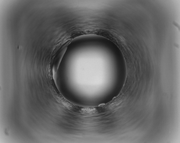 X0000098030480200803281413