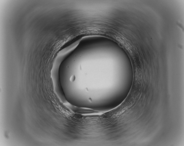 X0000098030481200803281412