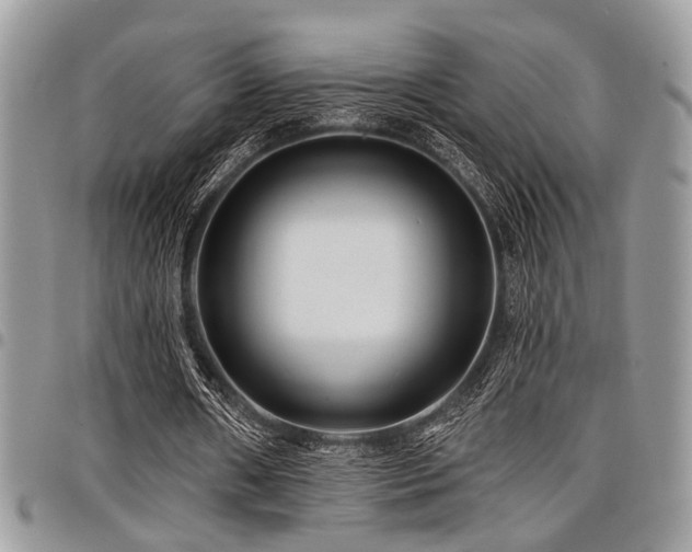 X0000098030482200803281412