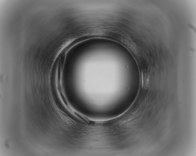 X0000098030483200803281412