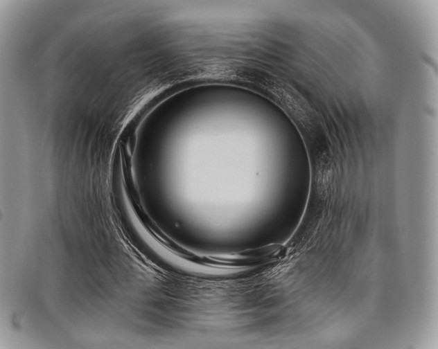 X0000098030484200803281412