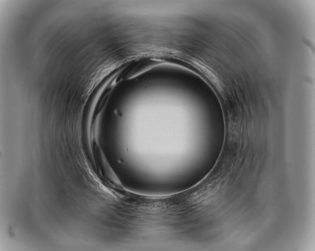 X0000098030485200803281412