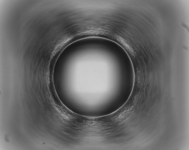 X0000098030486200803281412