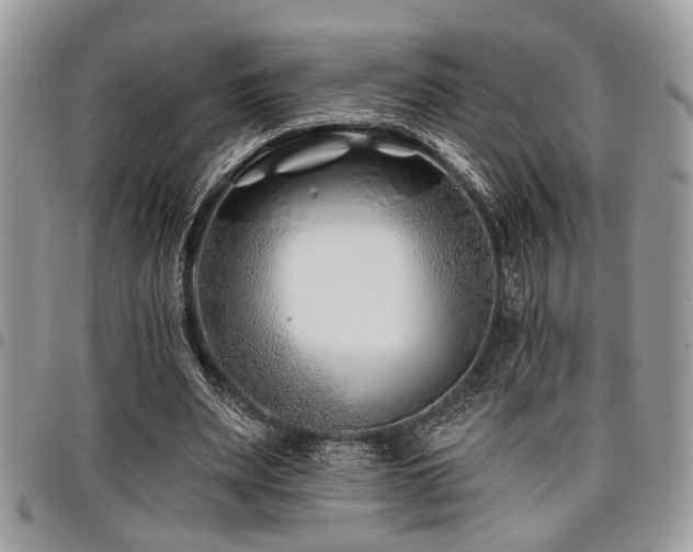 X0000098030487200803281412