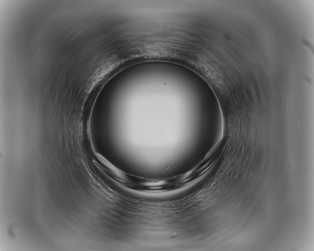 X0000098030488200803281412