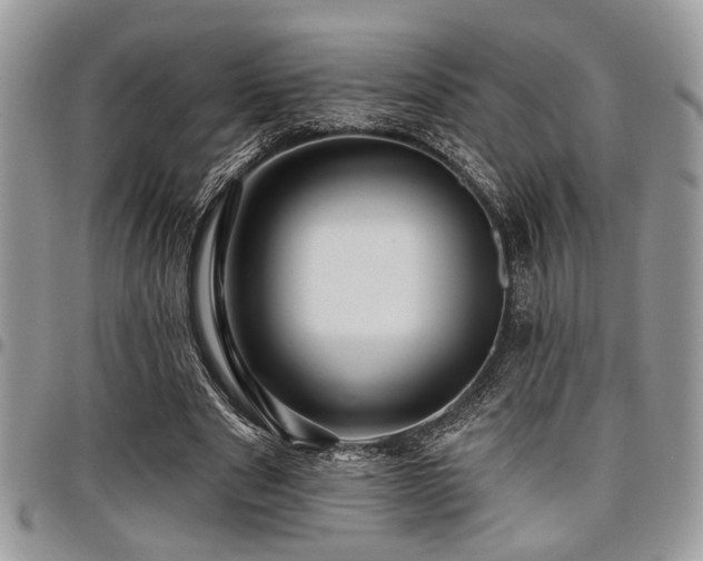 X0000098030489200803281412