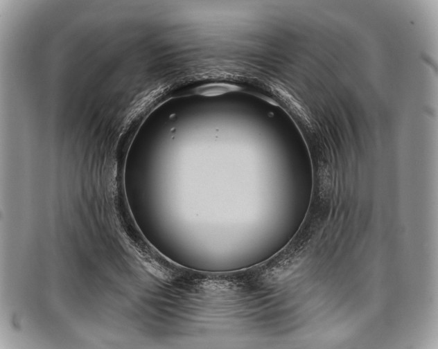 X0000098030490200803281412