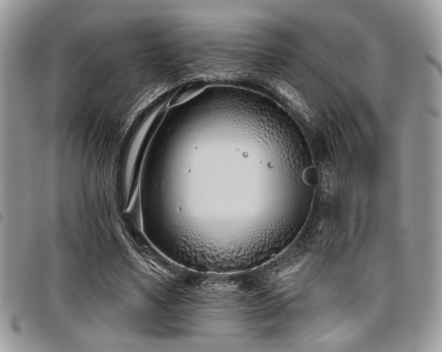 X0000098030491200803281412