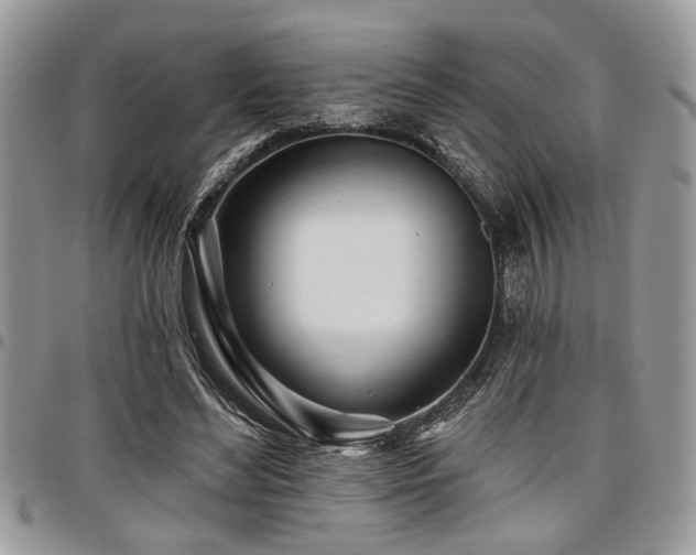 X0000098030492200803281412