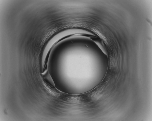 X0000098030493200803281412