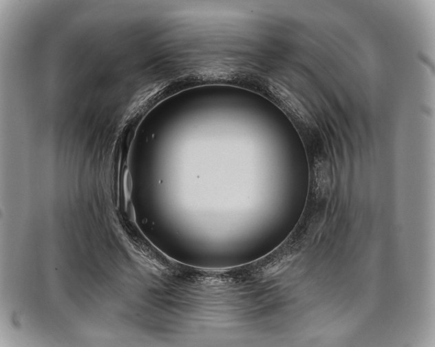 X0000098030494200803281412