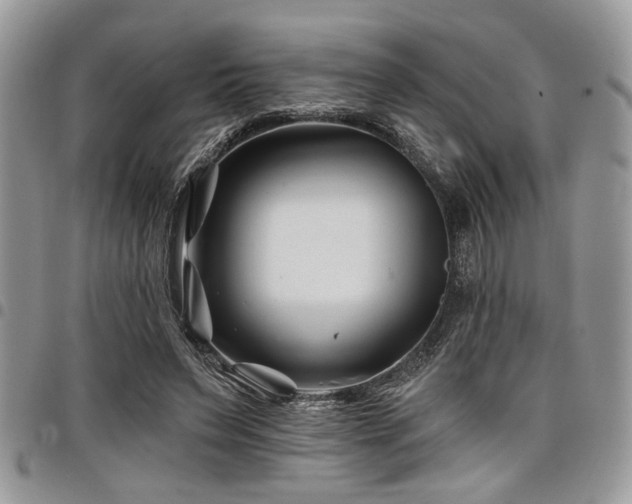 X0000098030495200803281412