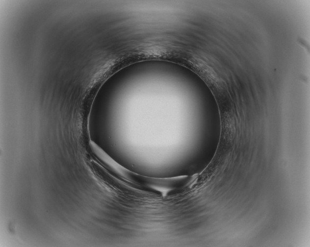 X0000098030496200803281412