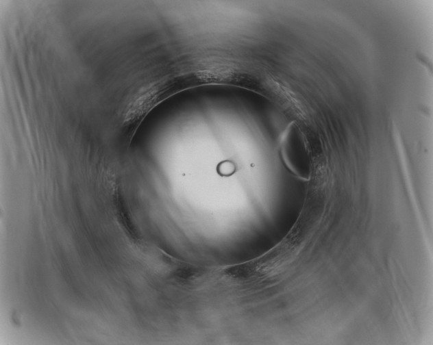 X0000098030498200803281412