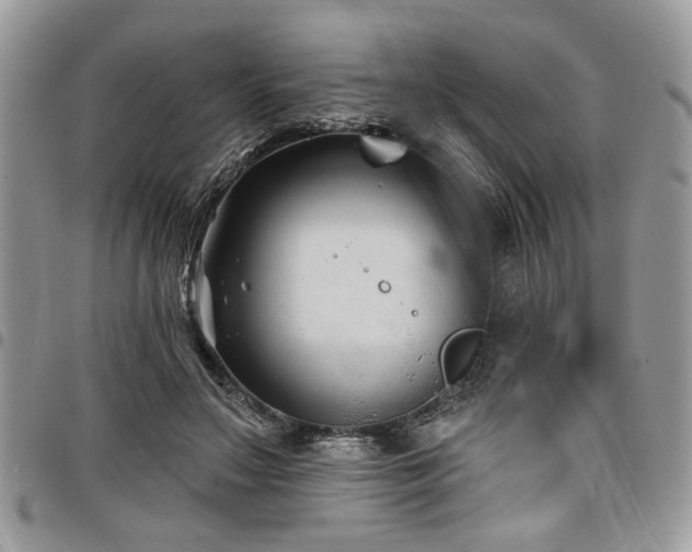 X0000098030499200803281412