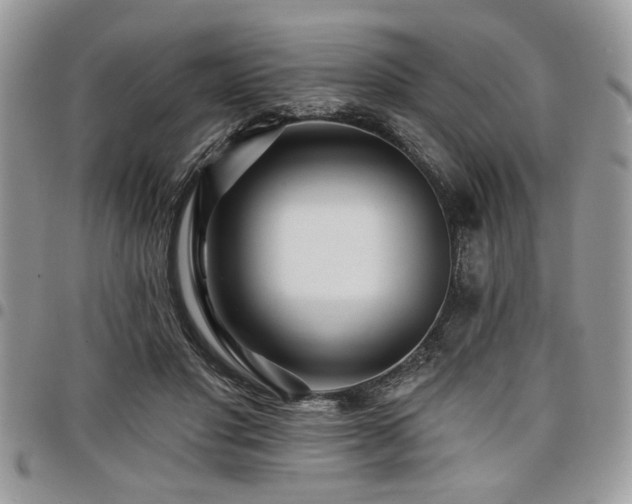 X0000098030501200803281412