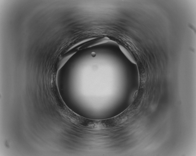 X0000098030503200803281412