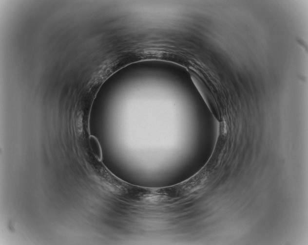 X0000098030504200803281412