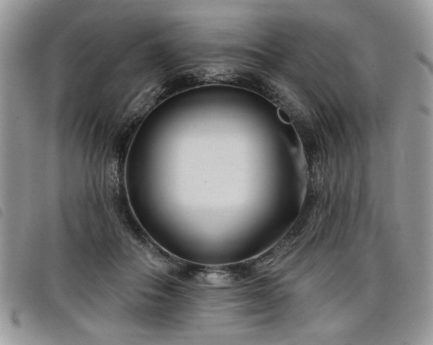 X0000098030506200803281412