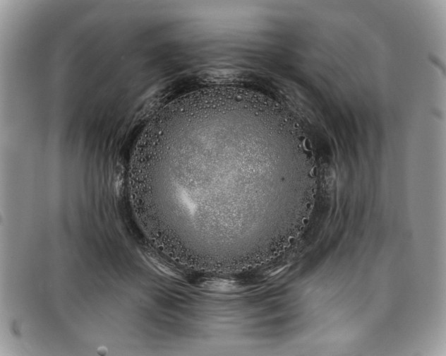 X0000098030507200803281412