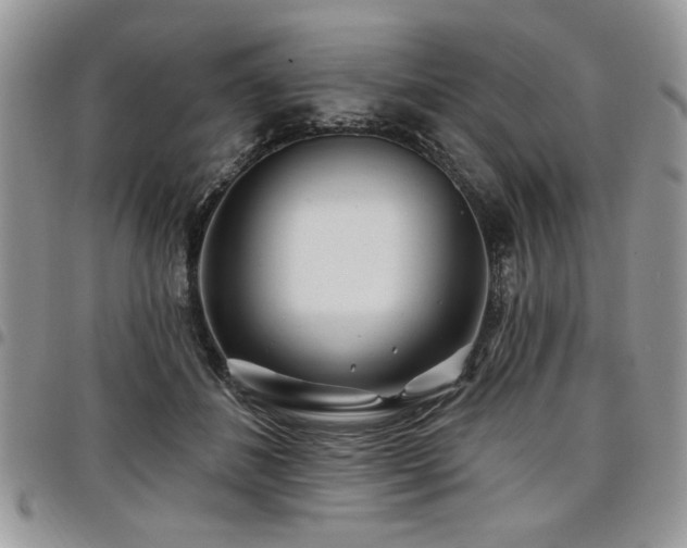 X0000098030508200803281412