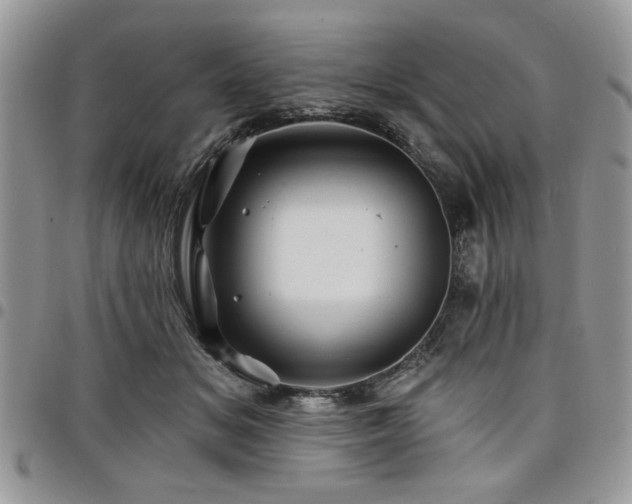 X0000098030509200803281412