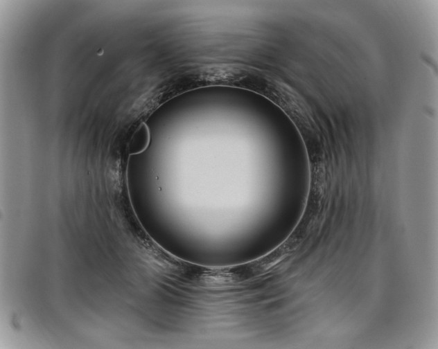 X0000098030510200803281412