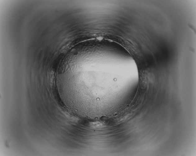 X0000098030511200803281412