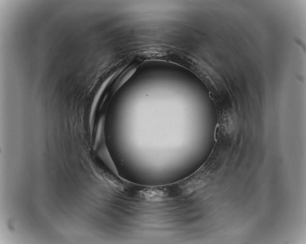 X0000098030512200803281412