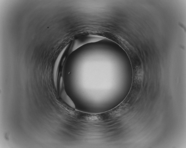 X0000098030513200803281412