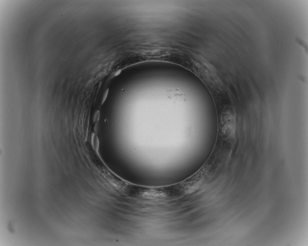 X0000098030515200803281412