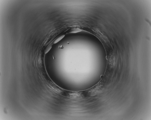 X0000098030516200803281412